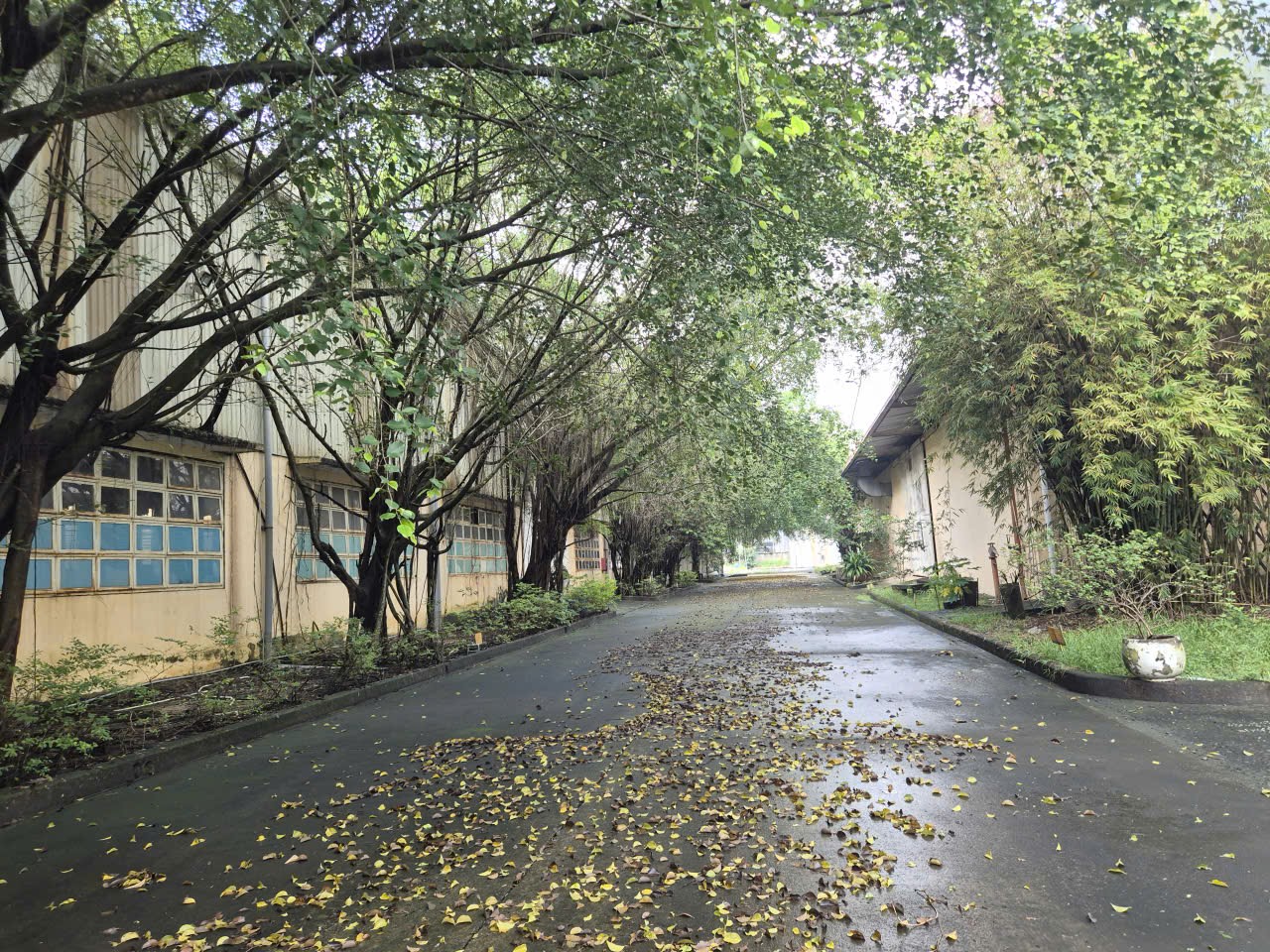 Bán xưởng kcn Nhơn Trạch 23.000 m2 chỉ 130 tỷ