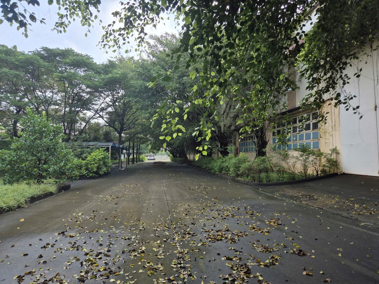 Bán xưởng kcn Nhơn Trạch 23.000 m2 chỉ 130 tỷ