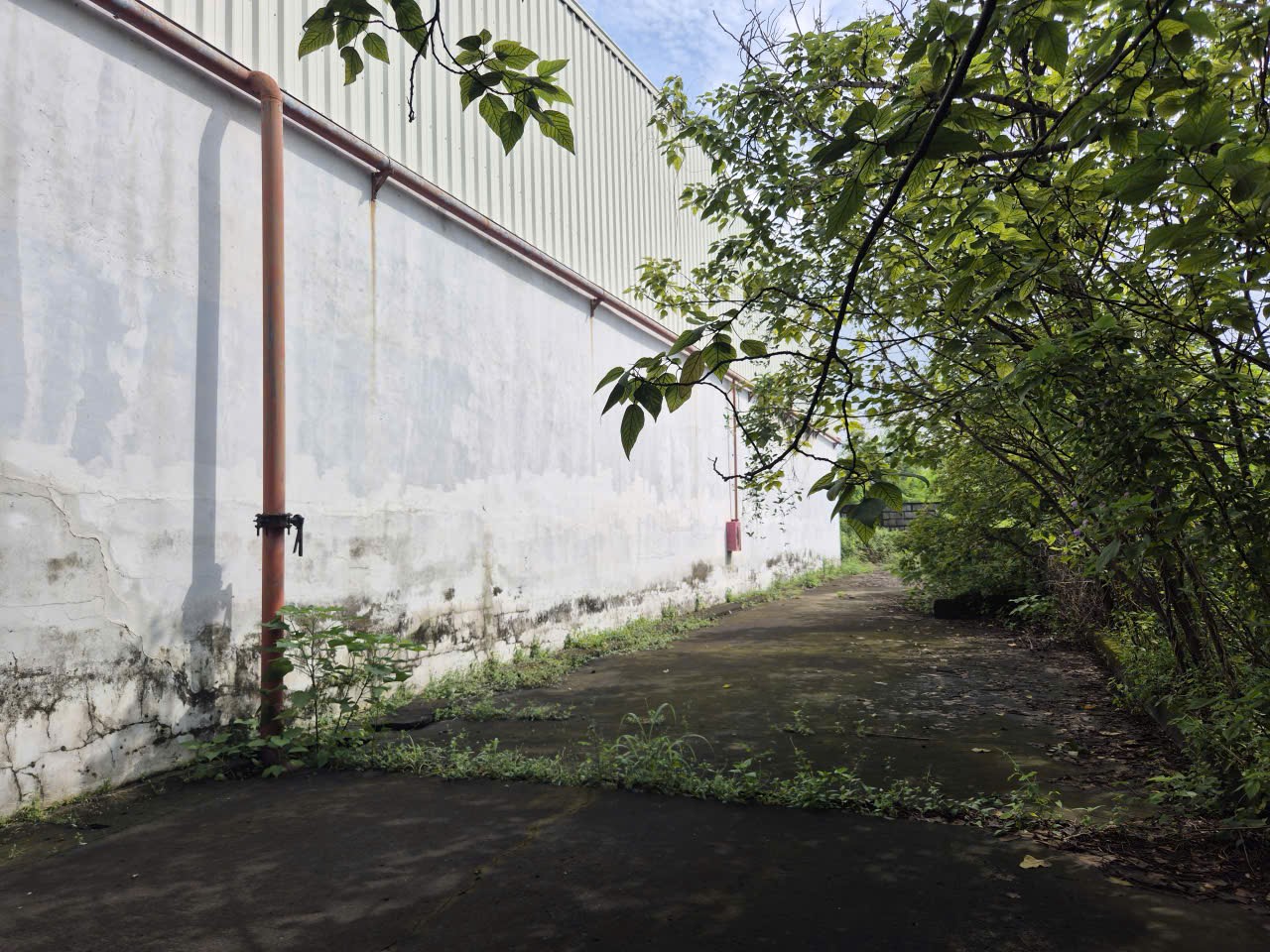 CHUYỂN NHƯỢNG NHÀ XƯỞNG LÔ GÓC 2 MẶT TIỀN – KCN NHƠN TRẠCH – 24.000m² – CHỈ 90 TỶ