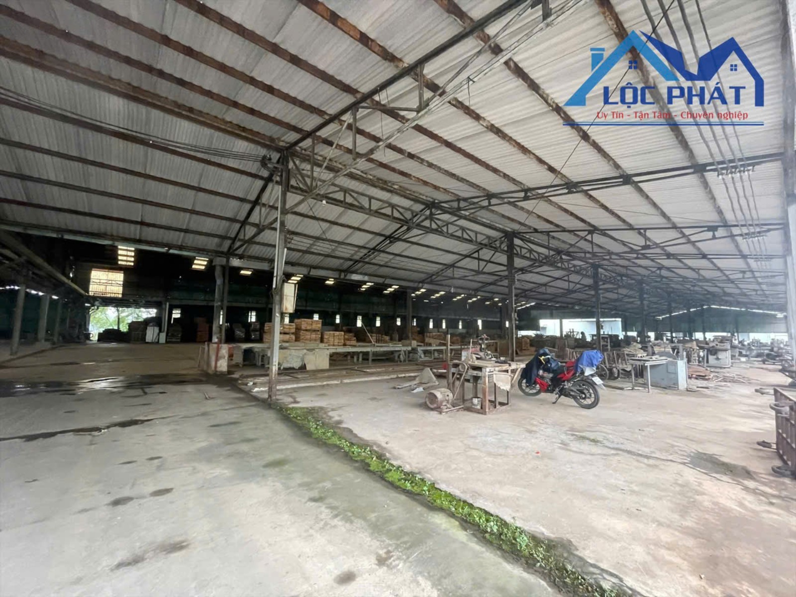 CẦN CHUYỂN NHƯỢNG NHÀ XƯỞNG GỖ QUY MÔ 7,5HA – PHÁP LÝ CHUẨN – VẬN HÀNH NGAY CHỈ 250 TỶ