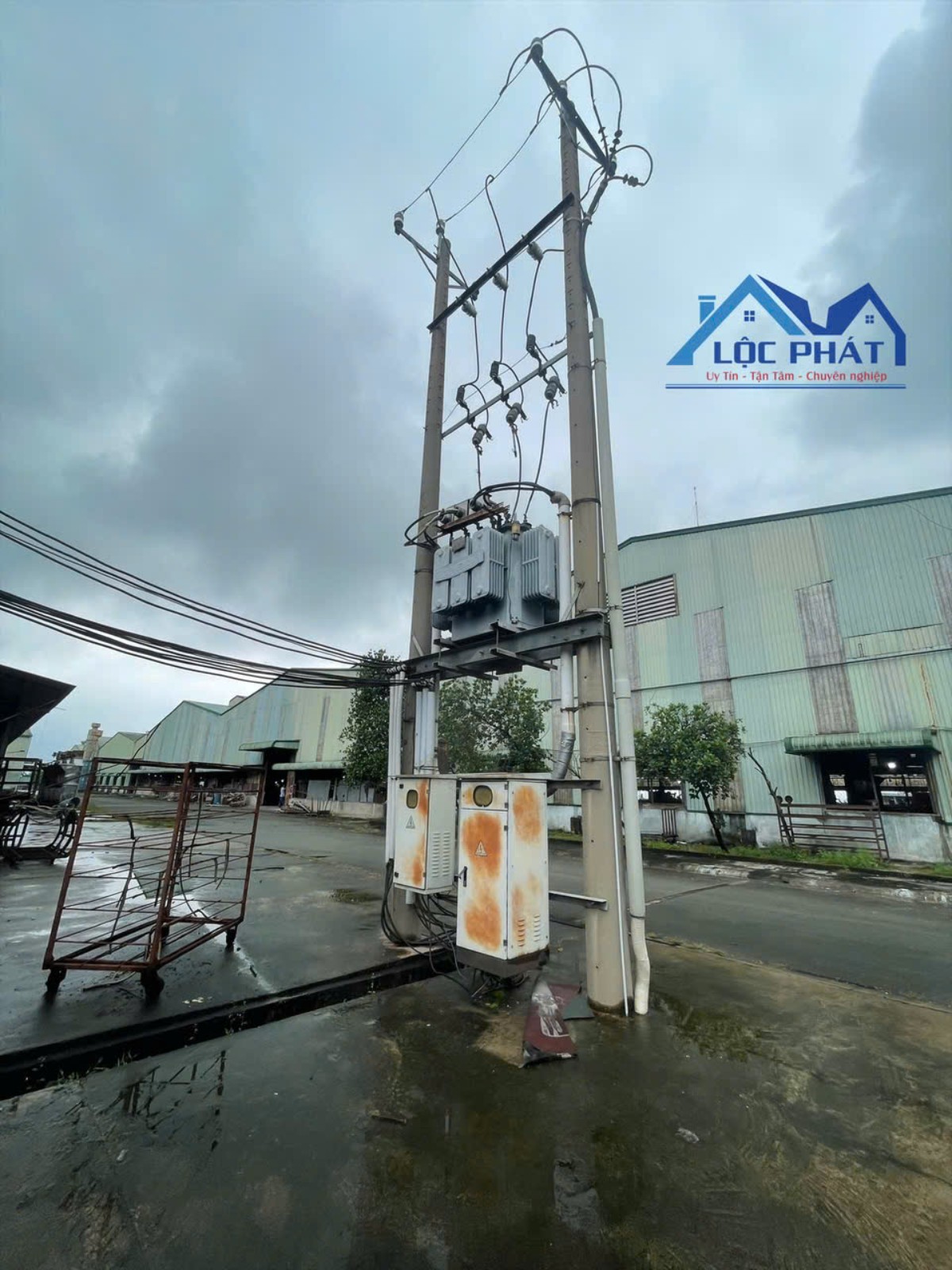 CẦN CHUYỂN NHƯỢNG NHÀ XƯỞNG GỖ QUY MÔ 7,5HA – PHÁP LÝ CHUẨN – VẬN HÀNH NGAY CHỈ 250 TỶ