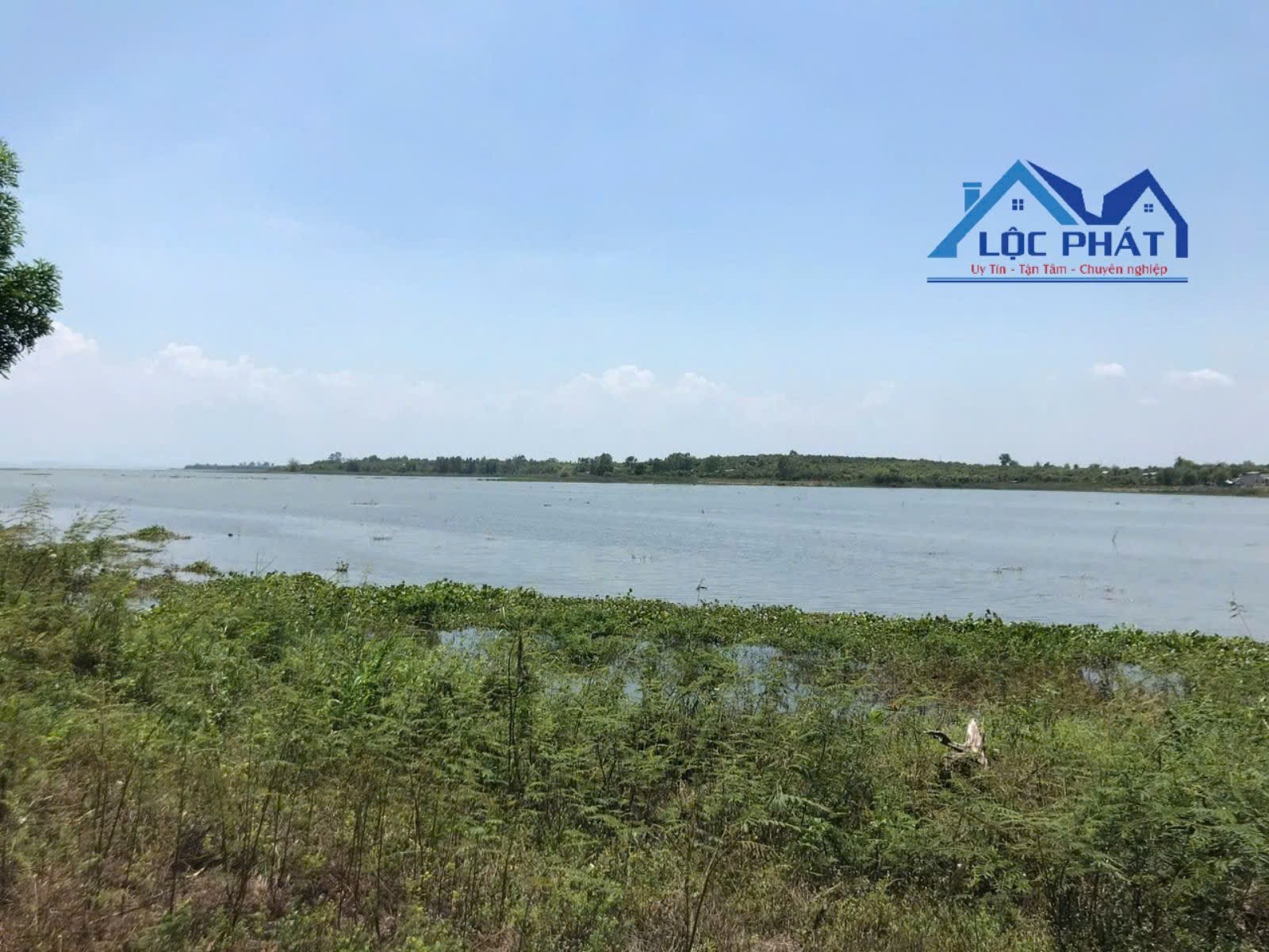 BÁN ĐẤT MẶT HỒ TRỊ AN – PHÚ LÝ, VĨNH CỬU 1,6ha giá chỉ 8 tỷ