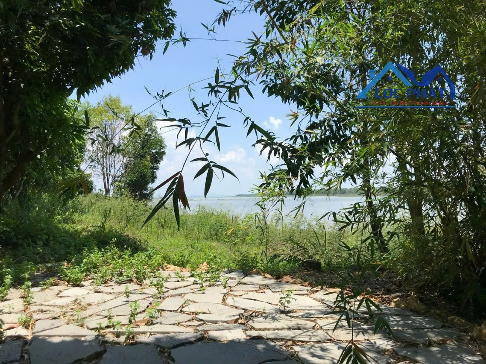 BÁN ĐẤT MẶT HỒ TRỊ AN – PHÚ LÝ, VĨNH CỬU 1,6ha giá chỉ 8 tỷ
