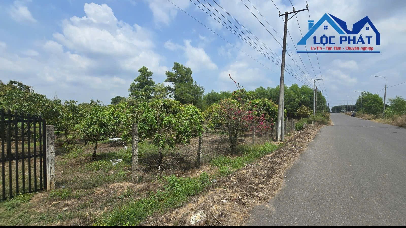 Cần bán lô đất mặt tiền đường nhựa 12.471m2 tại Suối Cao Xuân Lộc Đồng Nai