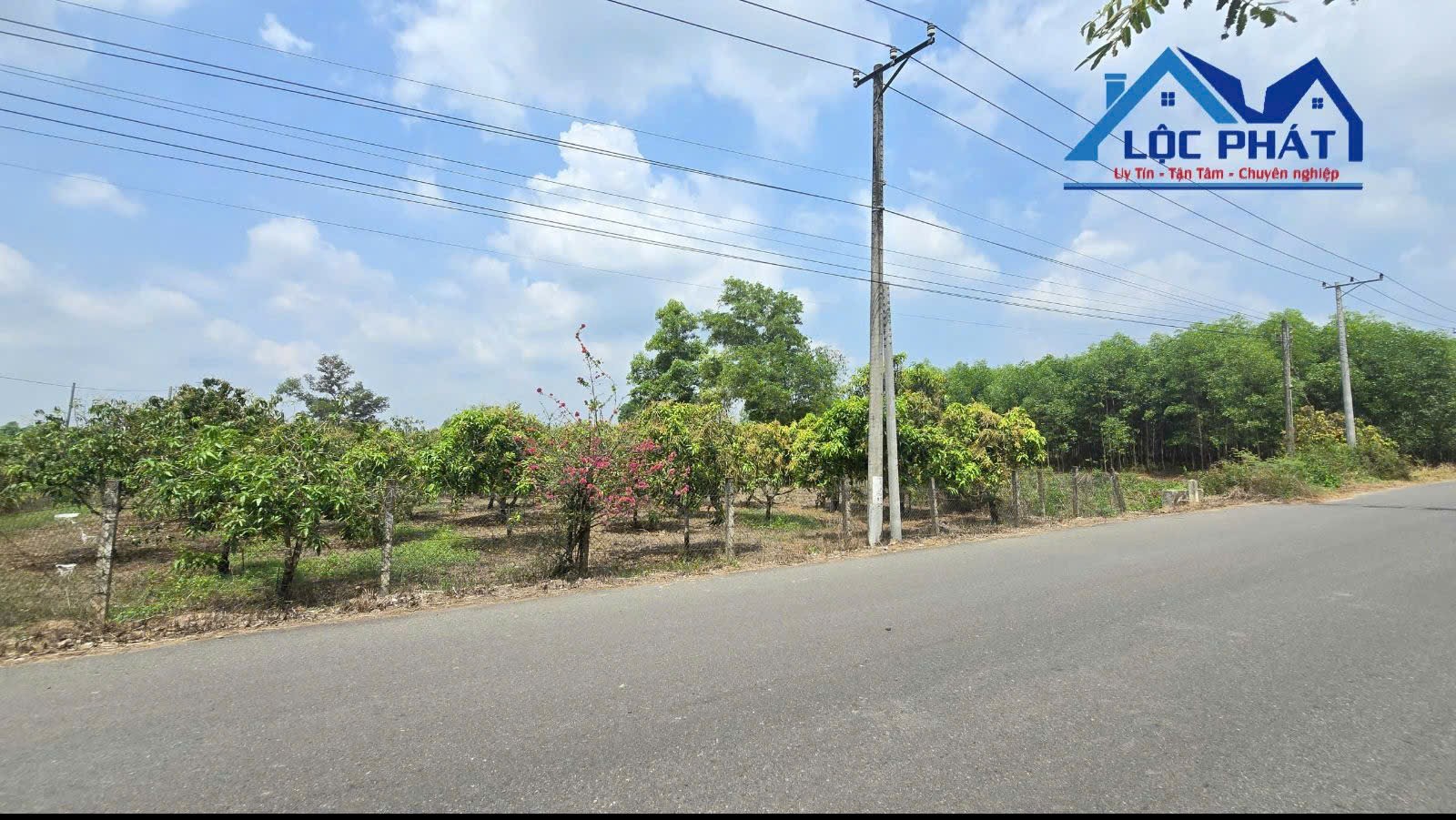 Cần bán lô đất mặt tiền đường nhựa 12.471m2 tại Suối Cao Xuân Lộc Đồng Nai