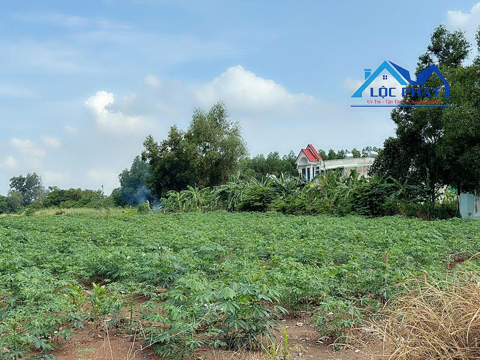 Bán quỹ đất lớn mặt tiền đường Đinh Quâng Ân Phường Phước Tân TP Đồng Nai 12000m2