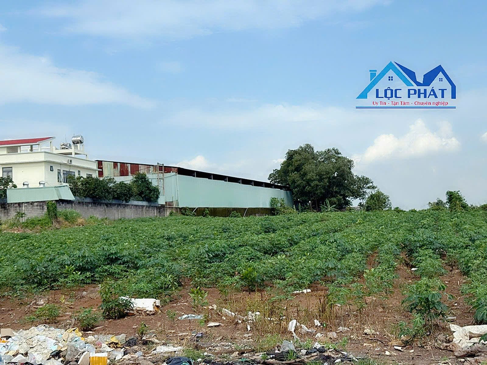 Bán quỹ đất lớn mặt tiền đường Đinh Quâng Ân Phường Phước Tân TP Đồng Nai 12000m2