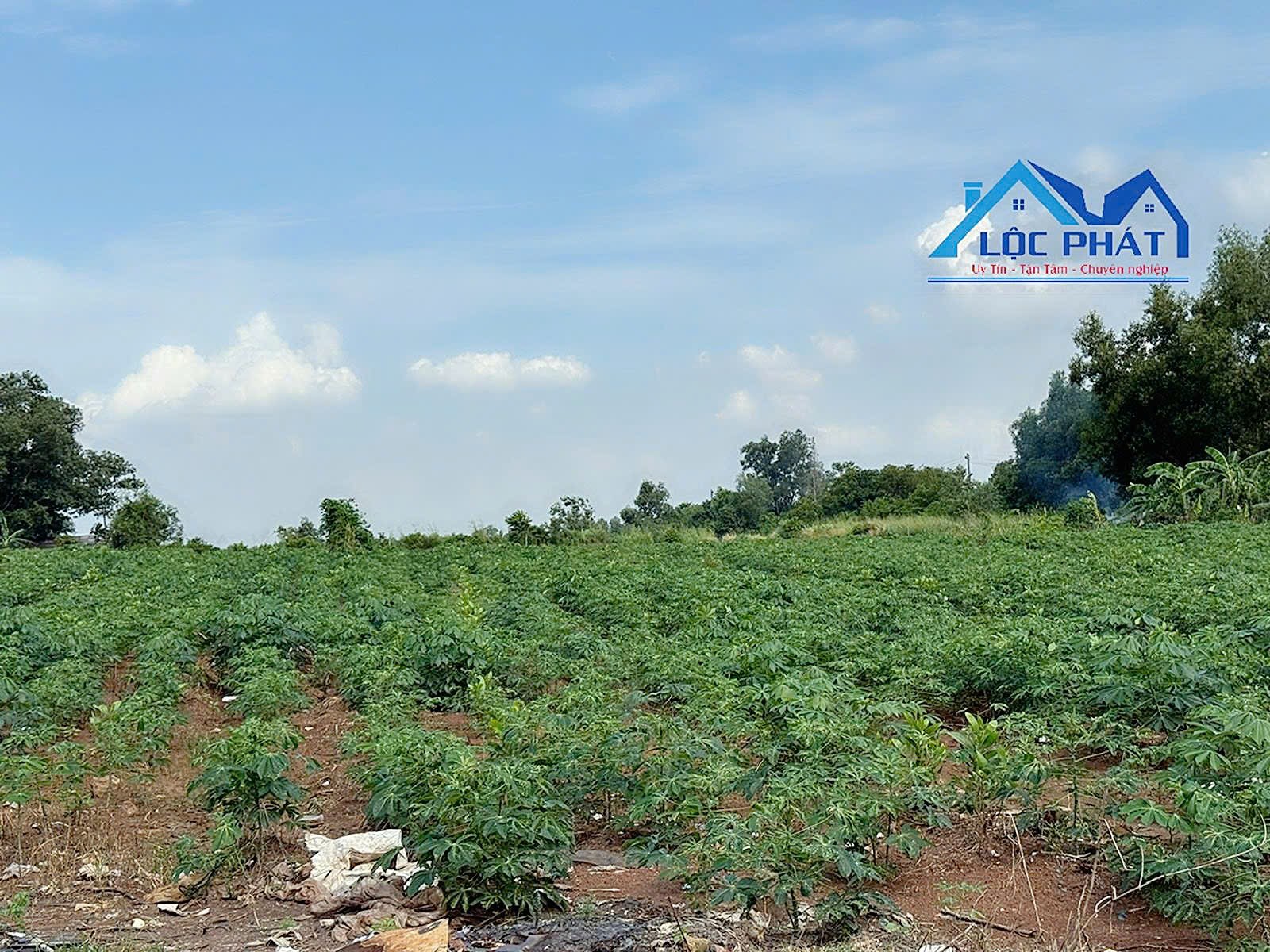 Bán quỹ đất lớn mặt tiền đường Đinh Quâng Ân Phường Phước Tân TP Đồng Nai 12000m2
