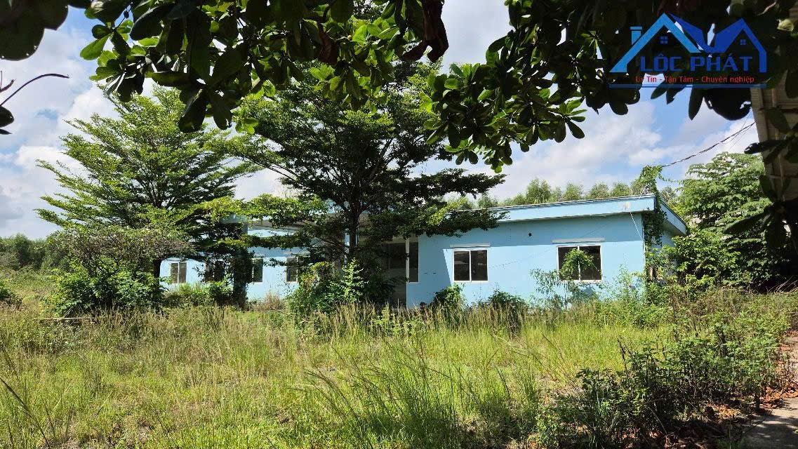 Bán đất full SKC hơn 4,5ha và xưởng tại phường Phươcs Tân TP Đồng Nai giá 3,5 tr/m2 lh 0933725660